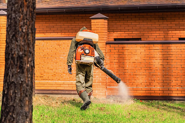 Trusted Cockroach Control service in San Pablo, NM - Nex Pest Control